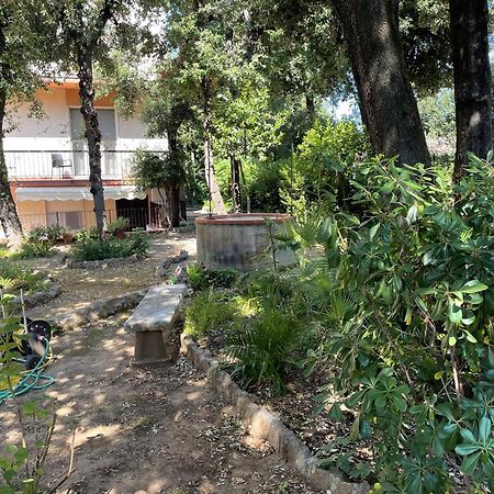 Apartmán Giardino Sud - A Pochi Passi Dal Mare San Vincenzo Exteriér fotografie