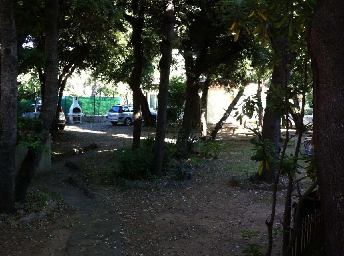 Apartmán Giardino Sud - A Pochi Passi Dal Mare San Vincenzo Exteriér fotografie